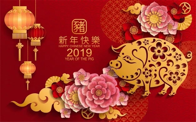The Year of the Pig 2019